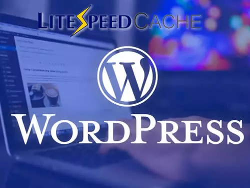 wordpress-hosting